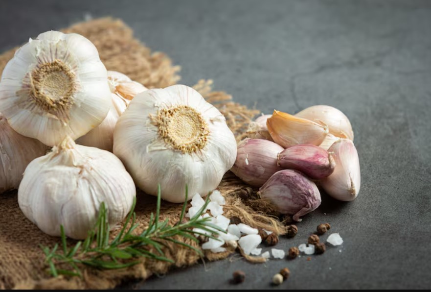 Garlic